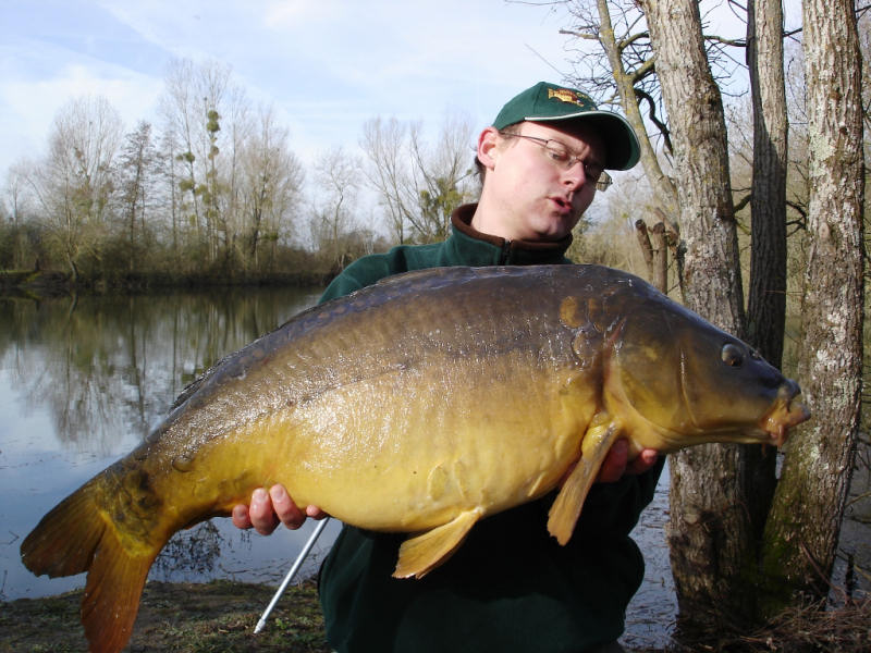 Des poissons puissants et de toute beaut