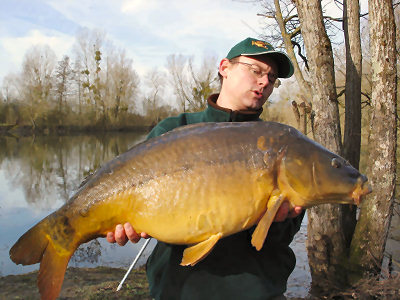 Des carpes magnifiques et puissantes