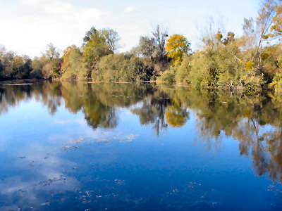 Un domaine sauvage en pleine nature