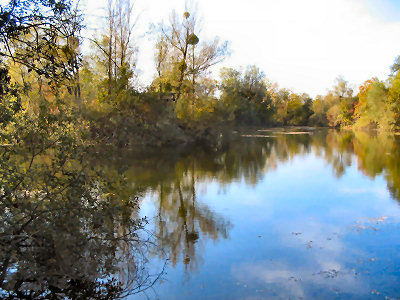 De belles sessions de pche de la carpe en bivvy